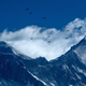 Birds fly over Mount Everest.